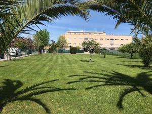 a park with palm trees in front of a building at Apartamentos Olga Cantabria in Polanco