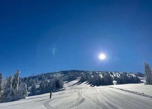 a person is skiing down a snow covered slope at Apartman Skyline Kopaonik in Kopaonik +6 photos