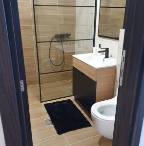 a bathroom with a shower and a toilet and a sink at Apartman Skyline Kopaonik in Kopaonik