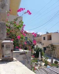 vista su una strada con fiori rosa e su un edificio di Kritikies apollonia a Pitsidia