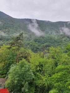 - une vue sur une montagne arborée et nuageuse dans l'établissement APARTAMENTE TURISTICE ZONA HOTELIERA 3 CAMERE WIFII , AER CONDITIONAT Baile Herculane, à Băile Herculane