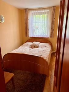 ein kleines Bett in einem kleinen Zimmer mit Fenster in der Unterkunft Gedimino Apartamentai in Juodkrantė