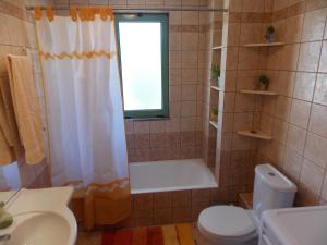 ein Bad mit einer Dusche, einem WC und einem Waschbecken in der Unterkunft Theofilos house in Nafplio