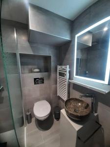 uma casa de banho com um WC, um lavatório e um espelho. em Bel Appartement T2 40 M2 em Vaugneray