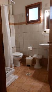 a bathroom with two toilets and a sink and a shower at Hotel Evripides in Agios Ioannis Pelio