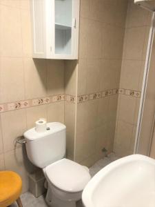 a bathroom with a white toilet and a sink at El Coqueto de Segovia in El Espinar