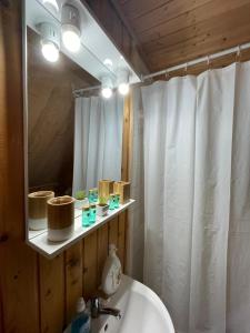 baño con cortina de ducha blanca y lavamanos en Casa Bando, en Moacşa