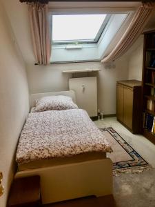 um quarto com uma cama e uma grande clarabóia em Spacious Roof Top Maisonett Apartment in PRIEN at Lake Chiemsee em Stock