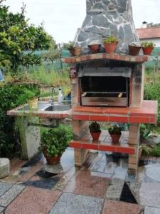 a stone oven with a sink and potted plants at Casa do Vale in Leiria