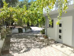 a courtyard with a tree in front of a white house at Alexander apartments in Spartià