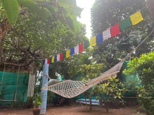 a hammock hanging from a tree with flags at The Lost Hostel, Varkala - Helipad in Varkala