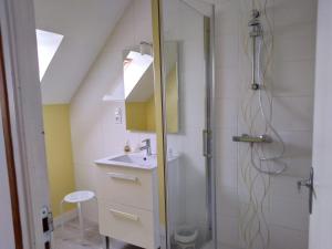 a bathroom with a shower and a sink at Vent des Gr&egrave;ves in Pontorson