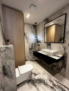 a bathroom with a sink and a toilet and a mirror at Canova Apartment in Labin