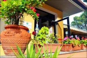 Zahrada ubytování Hotel Anfora
