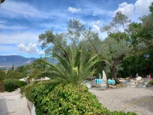 a palm tree in front of a swimming pool at Villa San Valentino in Terni