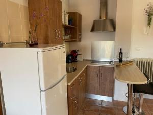 a kitchen with a white refrigerator and wooden cabinets at Casas Demi Dos in Vélez Blanco