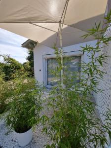 a house with two potted plants and an umbrella at Au Jardin de la Saudrune in Villeneuve-Tolosane