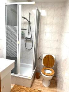 een badkamer met een toilet en een douche bij Chez’ Elle in Blankenberge