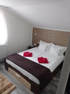 阿爾巴·尤利亞·的住宿－Casa Borza，一间卧室配有一张带两个红色枕头的床