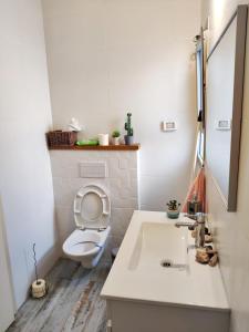 La salle de bains est pourvue de toilettes, d'un lavabo et d'un miroir. dans l'établissement נקודות ריפוי, à Tirat Karmel