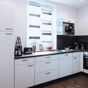 Kuchyň nebo kuchyňský kout v ubytování Ferienwohnung Goitzschezeit