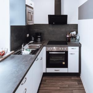 Kuchyň nebo kuchyňský kout v ubytování Ferienwohnung Goitzschezeit