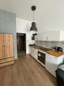 Η κουζίνα ή μικρή κουζίνα στο Mini apartament Ostróda