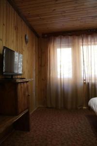 a bedroom with a television and a window with a bed at Cheremosh in Yablunytsya