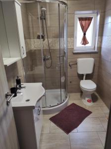 a bathroom with a shower and a toilet and a sink at Apartman Tramonto in Motovun