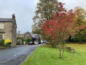 a tree with red leaves on the side of a street at Bluebell Cottage in the Yorkshire Dales in Stainforth