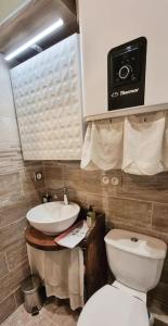 ein kleines Bad mit WC und Waschbecken in der Unterkunft South side Samoens studio in Falconniere with an amazing view in Samoëns