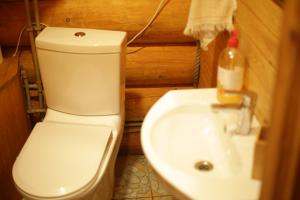 łazienka z toaletą i umywalką w obiekcie Pirts māja Ramatas w mieście Skulte