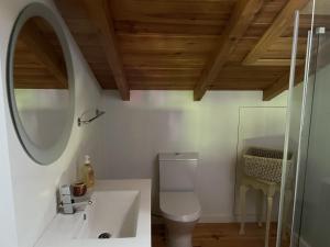 a bathroom with a white toilet and a mirror at O Celeiros in Freixo