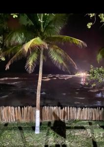 a palm tree in front of the ocean at night at Casa Sol e Mar Beira-mar in Ilhéus