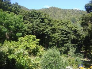 Gallery image of By The Park B & B in Whangarei