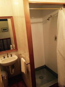 a bathroom with a sink and a shower curtain at Shepherds Arms Hotel in Wellington