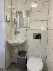 a bathroom with a toilet and a sink at Ośrodek Wypoczynkowy Barbara in Gródek Nad Dunajcem