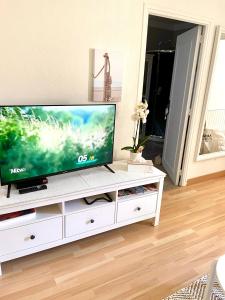 Televízia a/alebo spoločenská miestnosť v ubytovaní Magnifique appartement au cœur du centre ville