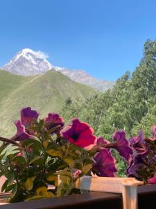 Vista general d'una muntanya o vistes d'una muntanya des de la fonda