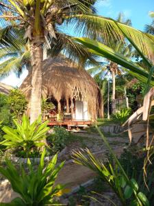 a hut with a palm tree and a table at Baobab Beach Vilanculos in Vilanculos
