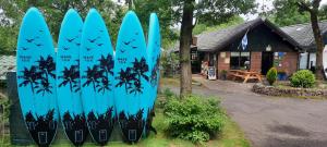 een groep blauwe surfplanken voor een gebouw bij Happy Glamping in Wittelte