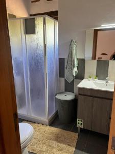 La salle de bains est pourvue d'une douche, de toilettes et d'un lavabo. dans l'établissement Quinta da Meda, à Coimbra