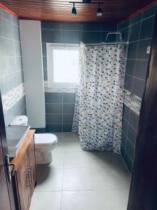 a bathroom with a toilet and a window and a shower at Résidence Le Vieux Lyon in Yaoundé
