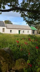 a white building with a green door and red flowers at Secluded Thatched Cottage, near beaches & hill walking in Rashenny