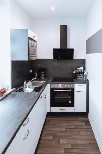 Kuchyň nebo kuchyňský kout v ubytování Ferienwohnung Goitzschezeit