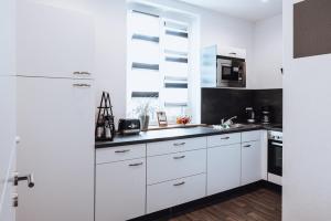 Kuchyň nebo kuchyňský kout v ubytování Ferienwohnung Goitzschezeit