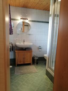 a bathroom with a sink and a mirror and a toilet at Appartement Seppi in Innsbruck