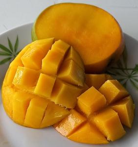 Cibo presso l'appartamento o nelle vicinanze
