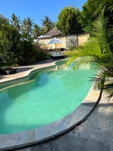 una piscina con agua verde y palmeras en Omala Village Gili Air, en Gili Air