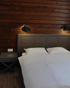 ein Schlafzimmer mit einem weißen Bett mit zwei Kissen in der Unterkunft TITA Family House in Gnedin